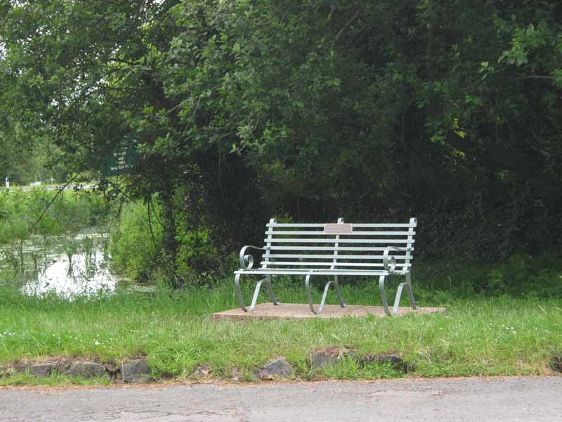 The Jubilee bench by the pond - by Angus McCulloch